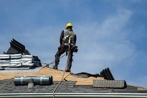 Professional Storm Damage Roof Repair technician working in Waltham, MN